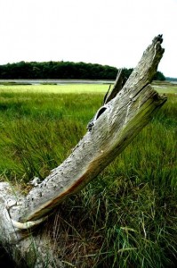 20100504-174218-49337