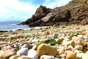 DSCF5555 web Hoëdic