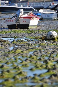 ????????????????????????????????????